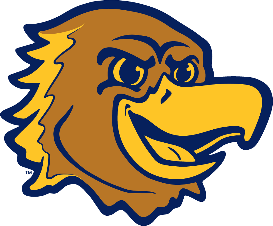 Marquette Golden Eagles 2020-Pres Mascot Logo DIY iron on transfer (heat transfer)